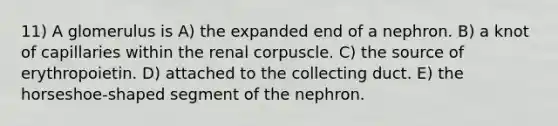 11) A glomerulus is A) the expanded end of a nephron. B) a knot of capillaries within the renal corpuscle. C) the source of erythropoietin. D) attached to the collecting duct. E) the horseshoe-shaped segment of the nephron.