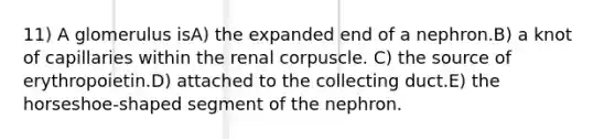 11) A glomerulus isA) the expanded end of a nephron.B) a knot of capillaries within the renal corpuscle. C) the source of erythropoietin.D) attached to the collecting duct.E) the horseshoe-shaped segment of the nephron.