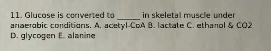 11. Glucose is converted to ______ in skeletal muscle under anaerobic conditions. A. acetyl-CoA B. lactate C. ethanol & CO2 D. glycogen E. alanine