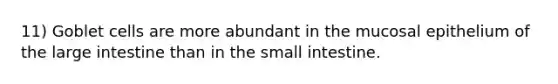 11) Goblet cells are more abundant in the mucosal epithelium of the large intestine than in the small intestine.