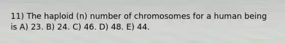 11) The haploid (n) number of chromosomes for a human being is A) 23. B) 24. C) 46. D) 48. E) 44.