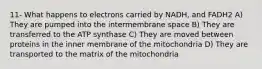 11- What happens to electrons carried by NADH, and FADH2 A) They are pumped into the intermembrane space B) They are transferred to the ATP synthase C) They are moved between proteins in the inner membrane of the mitochondria D) They are transported to the matrix of the mitochondria