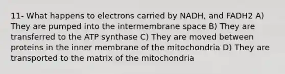 11- What happens to electrons carried by NADH, and FADH2 A) They are pumped into the intermembrane space B) They are transferred to the ATP synthase C) They are moved between proteins in the inner membrane of the mitochondria D) They are transported to the matrix of the mitochondria