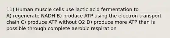 11) Human muscle cells use lactic acid fermentation to ________. A) regenerate NADH B) produce ATP using the electron transport chain C) produce ATP without O2 D) produce more ATP than is possible through complete aerobic respiration