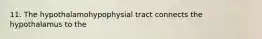 11. The hypothalamohypophysial tract connects the hypothalamus to the