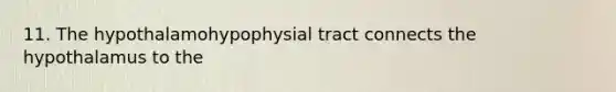 11. The hypothalamohypophysial tract connects the hypothalamus to the