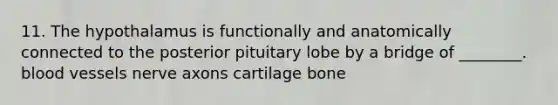 11. The hypothalamus is functionally and anatomically connected to the posterior pituitary lobe by a bridge of ________. blood vessels nerve axons cartilage bone