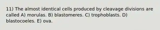 11) The almost identical cells produced by cleavage divisions are called A) morulas. B) blastomeres. C) trophoblasts. D) blastocoeles. E) ova.