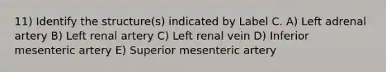 11) Identify the structure(s) indicated by Label C. A) Left adrenal artery B) Left renal artery C) Left renal vein D) Inferior mesenteric artery E) Superior mesenteric artery