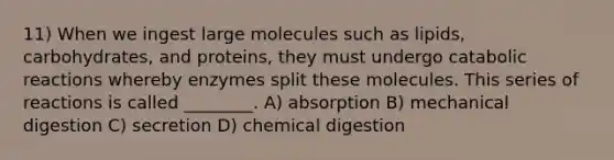 11) When we ingest large molecules such as lipids, carbohydrates, and proteins, they must undergo catabolic reactions whereby enzymes split these molecules. This series of reactions is called ________. A) absorption B) mechanical digestion C) secretion D) chemical digestion