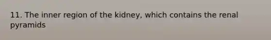 11. The inner region of the kidney, which contains the renal pyramids