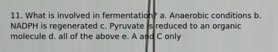 11. What is involved in fermentation? a. Anaerobic conditions b. NADPH is regenerated c. Pyruvate is reduced to an organic molecule d. all of the above e. A and C only