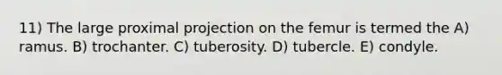 11) The large proximal projection on the femur is termed the A) ramus. B) trochanter. C) tuberosity. D) tubercle. E) condyle.