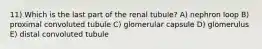 11) Which is the last part of the renal tubule? A) nephron loop B) proximal convoluted tubule C) glomerular capsule D) glomerulus E) distal convoluted tubule