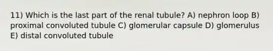 11) Which is the last part of the renal tubule? A) nephron loop B) proximal convoluted tubule C) glomerular capsule D) glomerulus E) distal convoluted tubule