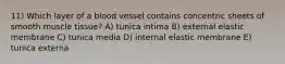 11) Which layer of a blood vessel contains concentric sheets of smooth muscle tissue? A) tunica intima B) external elastic membrane C) tunica media D) internal elastic membrane E) tunica externa