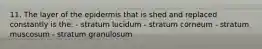 11. The layer of the epidermis that is shed and replaced constantly is the: - stratum lucidum - stratum corneum - stratum muscosum - stratum granulosum