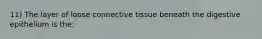 11) The layer of loose connective tissue beneath the digestive epithelium is the: