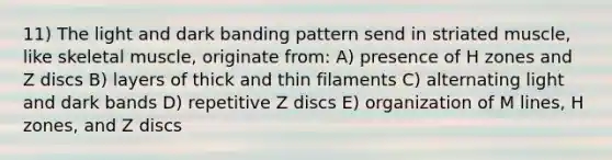 11) The light and dark banding pattern send in striated muscle, like skeletal muscle, originate from: A) presence of H zones and Z discs B) layers of thick and thin filaments C) alternating light and dark bands D) repetitive Z discs E) organization of M lines, H zones, and Z discs