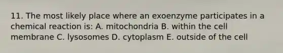 11. The most likely place where an exoenzyme participates in a chemical reaction is: A. mitochondria B. within the cell membrane C. lysosomes D. cytoplasm E. outside of the cell