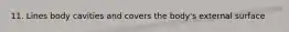 11. Lines body cavities and covers the body's external surface