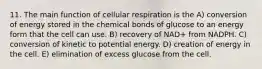 11. The main function of cellular respiration is the A) conversion of energy stored in the chemical bonds of glucose to an energy form that the cell can use. B) recovery of NAD+ from NADPH. C) conversion of kinetic to potential energy. D) creation of energy in the cell. E) elimination of excess glucose from the cell.