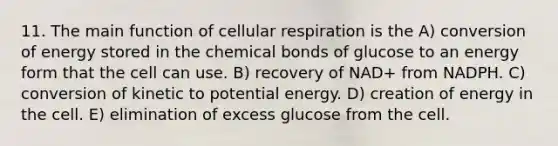 11. The main function of <a href='https://www.questionai.com/knowledge/k1IqNYBAJw-cellular-respiration' class='anchor-knowledge'>cellular respiration</a> is the A) conversion of energy stored in the chemical bonds of glucose to an energy form that the cell can use. B) recovery of NAD+ from NADPH. C) conversion of kinetic to potential energy. D) creation of energy in the cell. E) elimination of excess glucose from the cell.