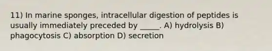 11) In marine sponges, intracellular digestion of peptides is usually immediately preceded by _____. A) hydrolysis B) phagocytosis C) absorption D) secretion