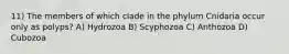 11) The members of which clade in the phylum Cnidaria occur only as polyps? A) Hydrozoa B) Scyphozoa C) Anthozoa D) Cubozoa