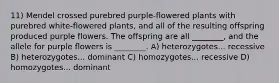 11) Mendel crossed purebred purple-flowered plants with purebred white-flowered plants, and all of the resulting offspring produced purple flowers. The offspring are all ________, and the allele for purple flowers is ________. A) heterozygotes... recessive B) heterozygotes... dominant C) homozygotes... recessive D) homozygotes... dominant