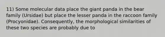 11) Some molecular data place the giant panda in the bear family (Ursidae) but place the lesser panda in the raccoon family (Procyonidae). Consequently, the morphological similarities of these two species are probably due to