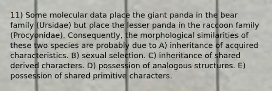 11) Some molecular data place the giant panda in the bear family (Ursidae) but place the lesser panda in the raccoon family (Procyonidae). Consequently, the morphological similarities of these two species are probably due to A) inheritance of acquired characteristics. B) sexual selection. C) inheritance of shared derived characters. D) possession of analogous structures. E) possession of shared primitive characters.