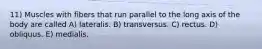 11) Muscles with fibers that run parallel to the long axis of the body are called A) lateralis. B) transversus. C) rectus. D) obliquus. E) medialis.