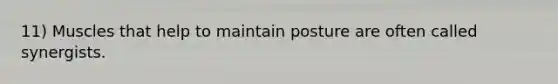 11) Muscles that help to maintain posture are often called synergists.