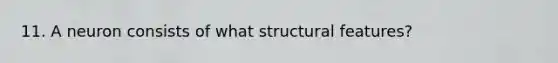 11. A neuron consists of what structural features?