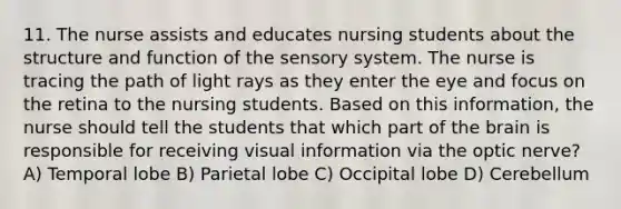 11. The nurse assists and educates nursing students about the structure and function of the sensory system. The nurse is tracing the path of light rays as they enter the eye and focus on the retina to the nursing students. Based on this information, the nurse should tell the students that which part of the brain is responsible for receiving visual information via the optic nerve? A) Temporal lobe B) Parietal lobe C) Occipital lobe D) Cerebellum