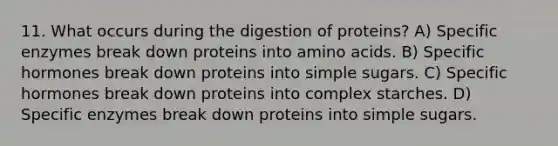 11. What occurs during the digestion of proteins? A) Specific enzymes break down proteins into amino acids. B) Specific hormones break down proteins into simple sugars. C) Specific hormones break down proteins into complex starches. D) Specific enzymes break down proteins into simple sugars.