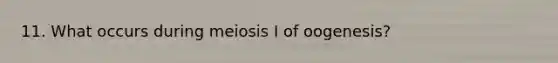 11. What occurs during meiosis I of oogenesis?