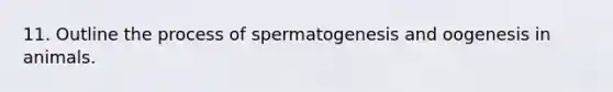 11. Outline the process of spermatogenesis and oogenesis in animals.