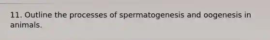 11. Outline the processes of spermatogenesis and oogenesis in animals.