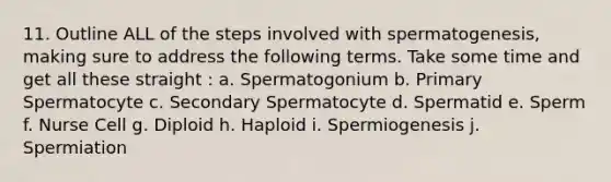 11. Outline ALL of the steps involved with spermatogenesis, making sure to address the following terms. Take some time and get all these straight : a. Spermatogonium b. Primary Spermatocyte c. Secondary Spermatocyte d. Spermatid e. Sperm f. Nurse Cell g. Diploid h. Haploid i. Spermiogenesis j. Spermiation