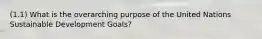 (1.1) What is the overarching purpose of the United Nations Sustainable Development Goals?