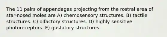 The 11 pairs of appendages projecting from the rostral area of star-nosed moles are A) chemosensory structures. B) tactile structures. C) olfactory structures. D) highly sensitive photoreceptors. E) gustatory structures.