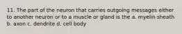 11. The part of the neuron that carries outgoing messages either to another neuron or to a muscle or gland is the a. myelin sheath b. axon c. dendrite d. cell body