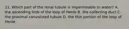 11. Which part of the renal tubule is impermeable to water? A. the ascending limb of the loop of Henle B. the collecting duct C. the proximal convoluted tubule D. the thin portion of the loop of Henle