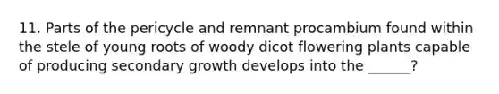 11. Parts of the pericycle and remnant procambium found within the stele of young roots of woody dicot flowering plants capable of producing secondary growth develops into the ______?