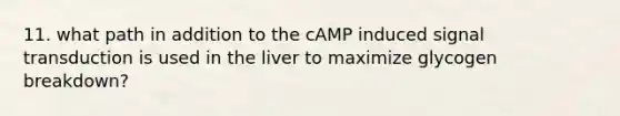 11. what path in addition to the cAMP induced signal transduction is used in the liver to maximize glycogen breakdown?