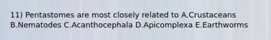 11) Pentastomes are most closely related to A.Crustaceans B.Nematodes C.Acanthocephala D.Apicomplexa E.Earthworms