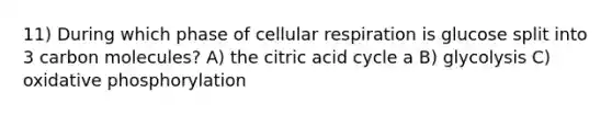 11) During which phase of cellular respiration is glucose split into 3 carbon molecules? A) the citric acid cycle a B) glycolysis C) oxidative phosphorylation