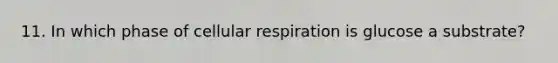 11. In which phase of cellular respiration is glucose a substrate?